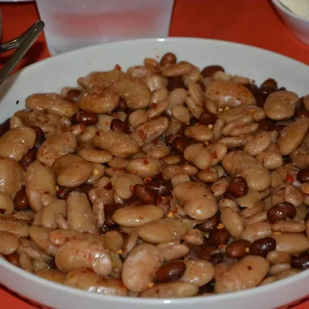 Pensjonat Konaku Qender Tomin