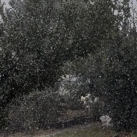Πανσιόν Konaku Qender Tomin