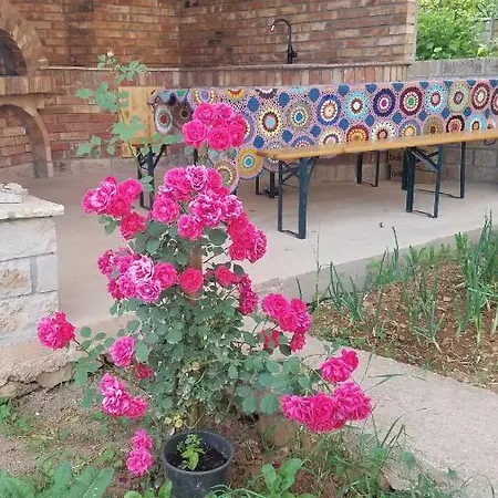 Konaku ゲストハウス